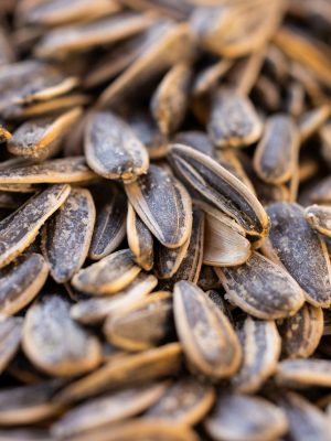 engin-akyurt-Xku7nuvaM4A-unsplash