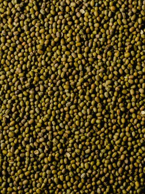 pexels-eva-bronzini-5988202